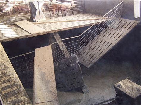 hog slat flooring|Placement huge in slat floor deficiencies .